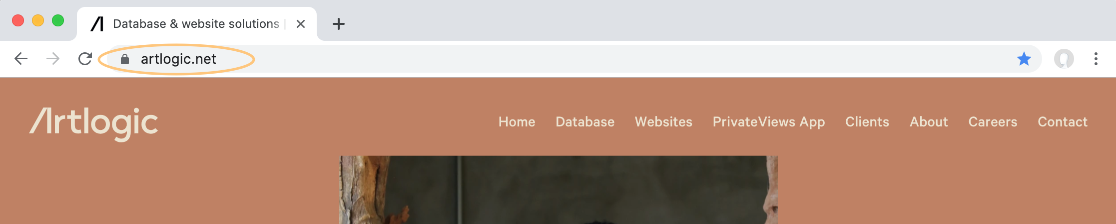 DomainURL.png
